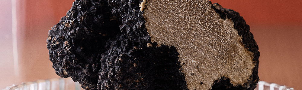 Le nostre specialità al Tartufo Nero